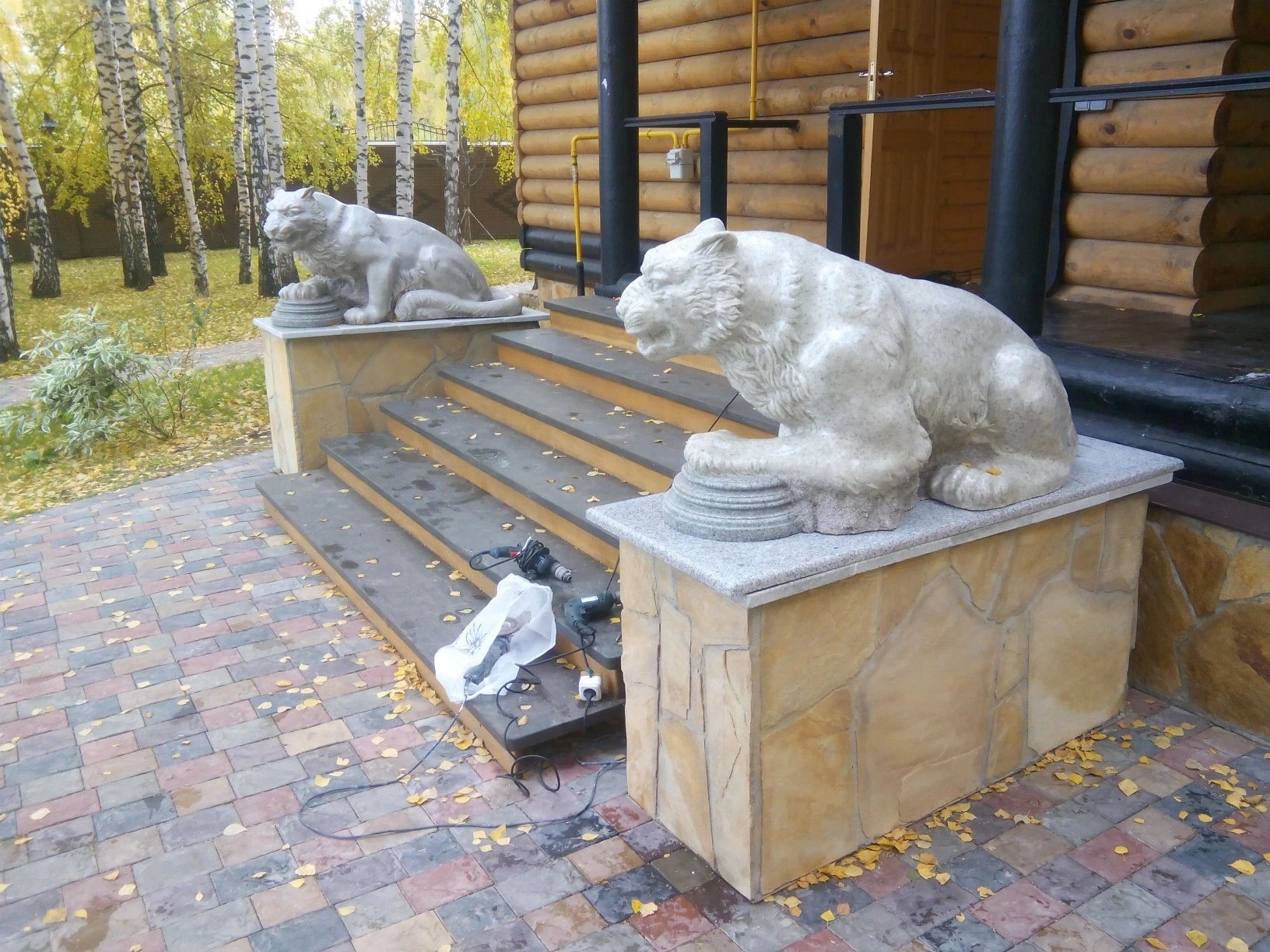 Барсы у крыльца